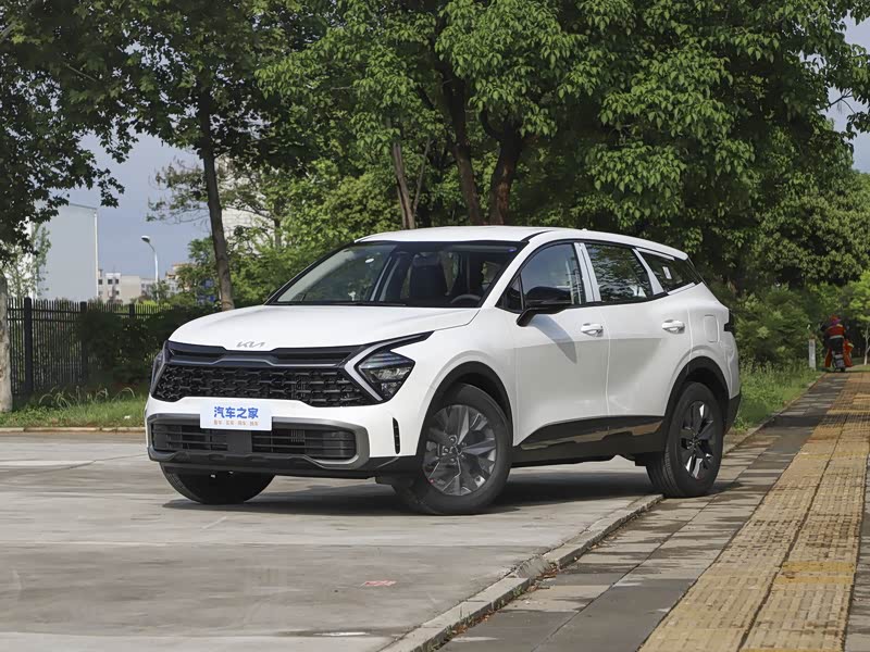 2026年狮铂拓界购车补贴全攻略,落地价是多少?