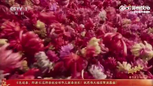 王楚然春晚亮片红裙造型明媚大气如芙蓉盛放