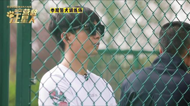 成毅粉丝破3000万，电影《营救汪星人》年初八后排片回升