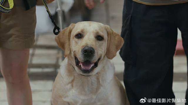 姑娘不记得串串配方，可乐却知道在哪里，简直神了