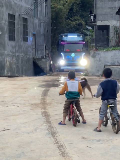 货车司机年终归家团聚，孩子老狗翘首以盼