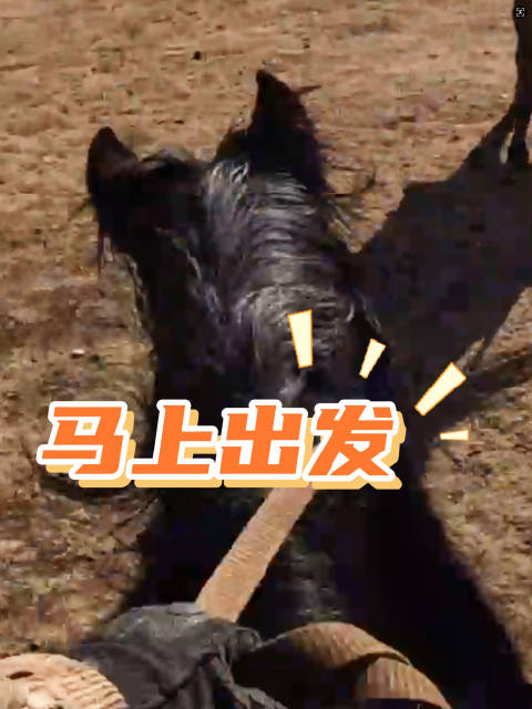 沉浸式体验策马奔腾