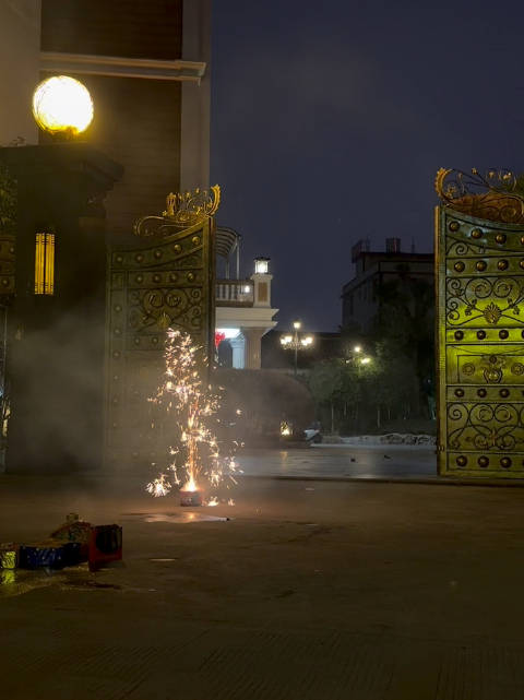 除夕夜祝福火树银花共庆新春