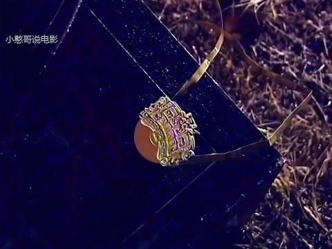 项少龙成功在古代发电为琴清留古代