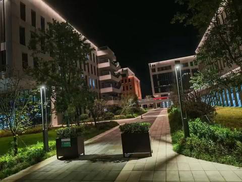 南京林业大学校园景观与怪奇物语奇幻元素交融