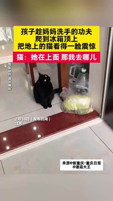 放假第1天萌娃秒变蜘蛛侠