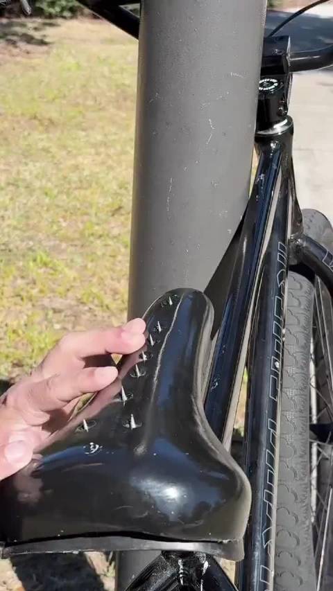 国外这位老6️⃣，想给零元购的这些哥们一点新能源的惩罚