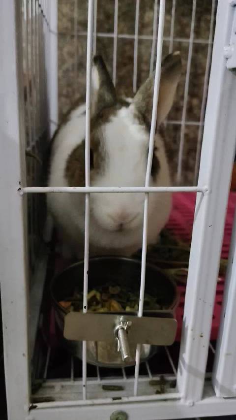 外面鞭炮声连天，而她淡定吃饭