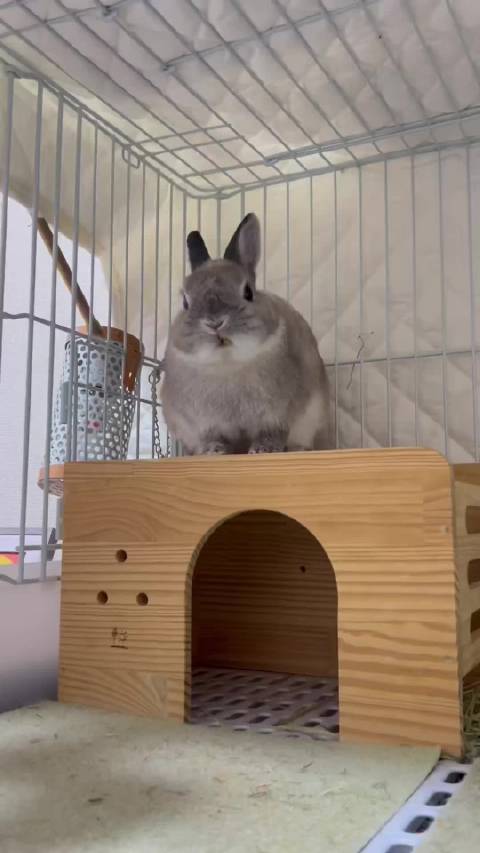 就是喜欢这种居高临下的感觉