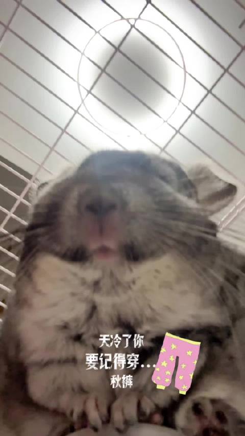 气温冷热不定！你的秋裤也是穿了脱？脱了穿？