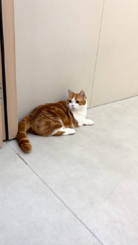 昨天刚洗完澡，今天已经是黑jiojio了，还是冬冬不显脏