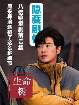 《生命树》前12集伏笔密集，镜头道具光影暗藏玄机