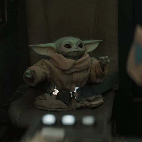 全新预告将于明日发布