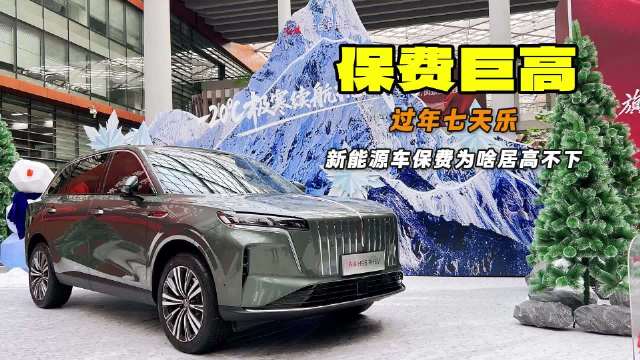 过年七天乐 新能源车保费为何居高不下