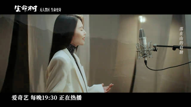 《生命树》主题曲MV发布引观众共鸣