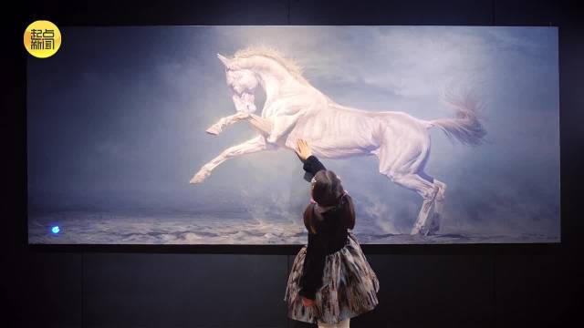 汗血宝马与舞者同框太震撼