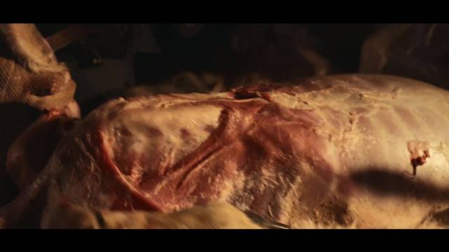 我天！生命树好敢拍！不敢看的程度