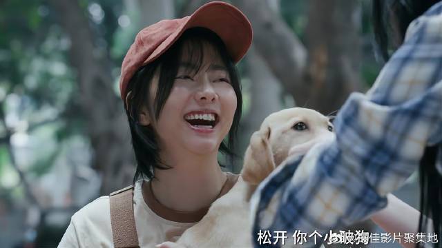 闺蜜帮姑娘算命，却被狗狗咬坏纸牌，姑娘拍手叫好