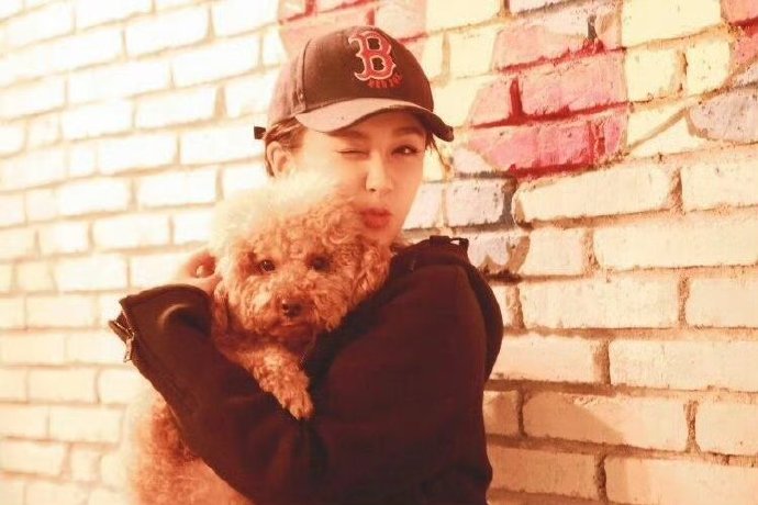 杨紫的狗狗Piupiu今年多大年龄了？