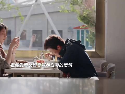 老韩官宣和白芍的恋情，白菊以为姐姐只是闹着玩，没想到是真的 生命树