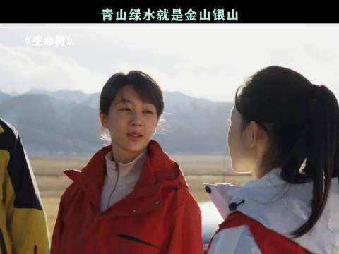 生命树:高原绝境之上，有人用生命守护这片生命树