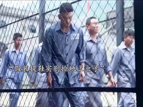 天才囚犯有多牛，看他如何仅凭一只虫子成功完成越狱！