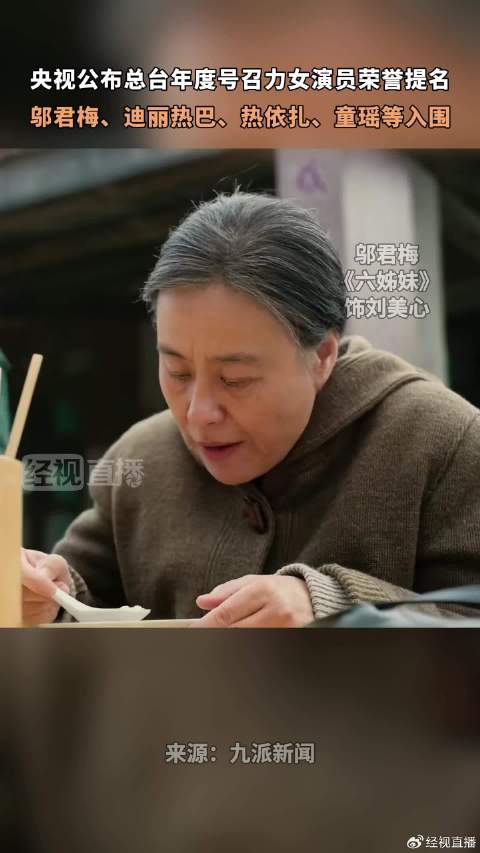 中国电视剧年度盛典荣誉提名