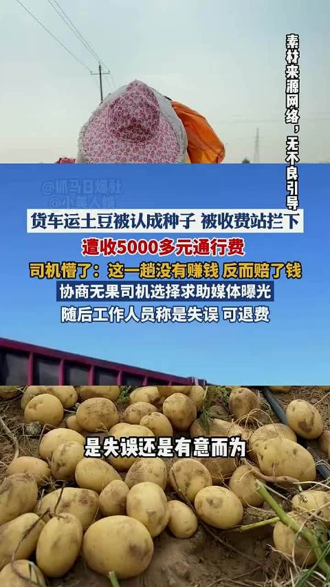 货车拉30吨土豆走绿通被认定种子