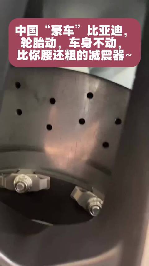 中国“豪车”比亚迪，轮胎动，车身不动，比你腰还粗的减震器