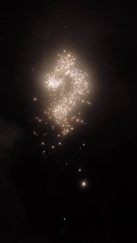 刘浩存晒烟花迎马年，年夜饭备大骨头