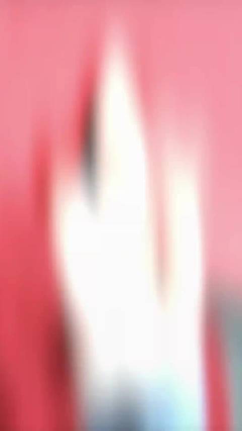 新年快乐，祝你，前程似锦，未来可期！