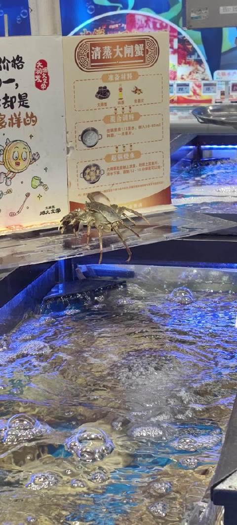 越狱的螃蟹告诉我：即使努力挣脱了命运的枷锁，但最终还是逃不过既定的结局