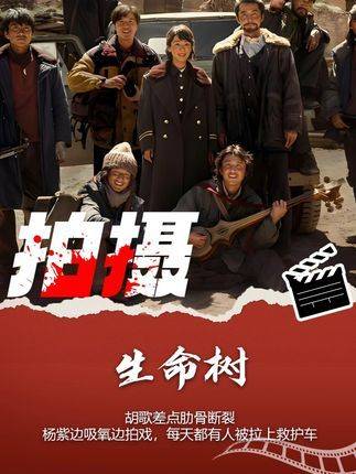 胡歌险些肋骨断裂，杨紫边吸氧边拍戏——《生命树》剧组全员搏命式投入！