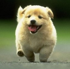 热格罗瓦社媒晒体检时与皮耶罗合影:传奇!很高兴能够见到你-直播吧手机版