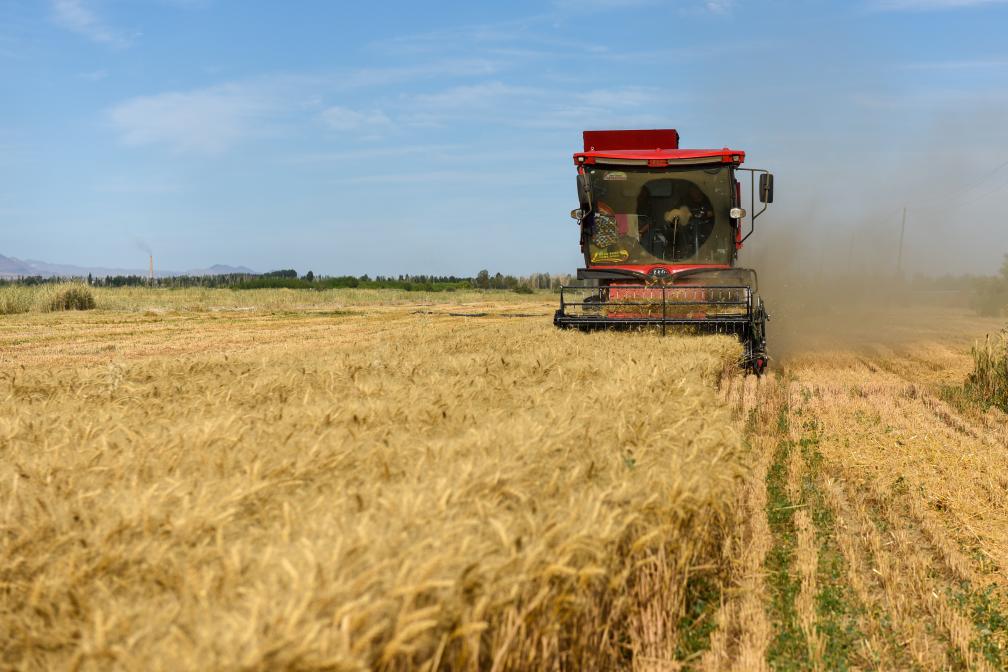中国人民银行:二季度涉农、普惠金融贷款持续增长