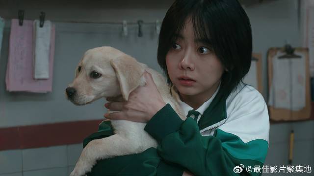 妈妈对狗狗有偏见，下秒狗狗一个举动，刮目相看