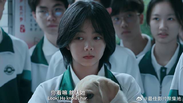 狗狗去学校闹事，一见姑娘就安静，姑娘：它是我的