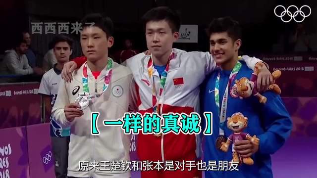 原来王楚钦和张本是对手也是朋友，纸盒绝对是最懂头哥