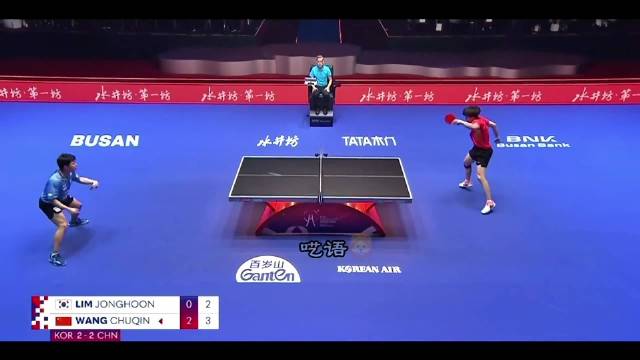 王楚钦很有球品，看对手摔倒了，明显放慢球速，等对手起来才正常打，王楚钦