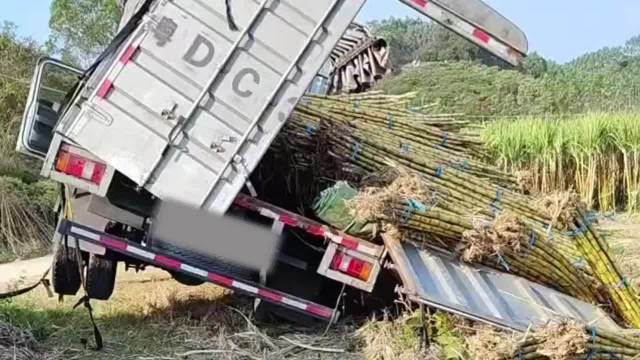 玉林一货车把甘蔗立起装把车型压坏了