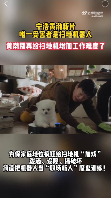 黄渤与宁浩合作的喜剧新片《柴米油盐也疯狂》主要讲述了什么故事？