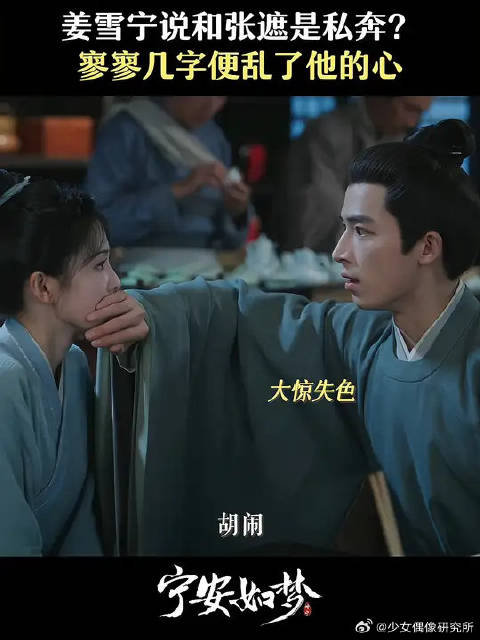 为藏匿身份不被叛贼发现，姜姑娘说是与张遮私奔，二个字却让张遮慌乱了