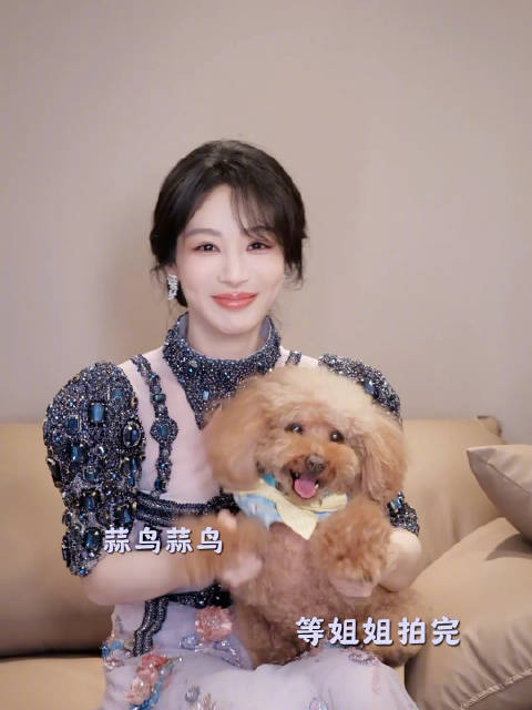 杨紫携爱犬拜年，白菊经幡传递心声