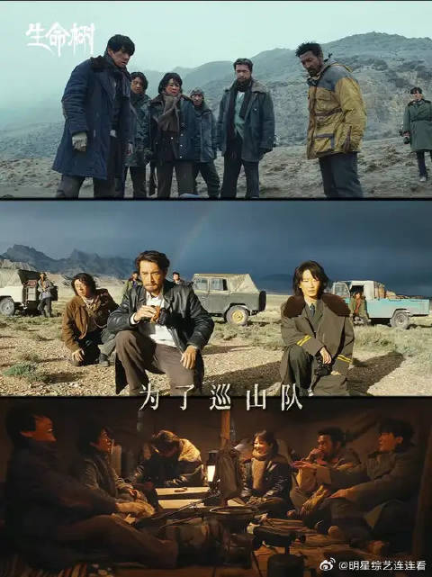 为了巡山队、为了博拉木拉、为了所有守护者，干杯