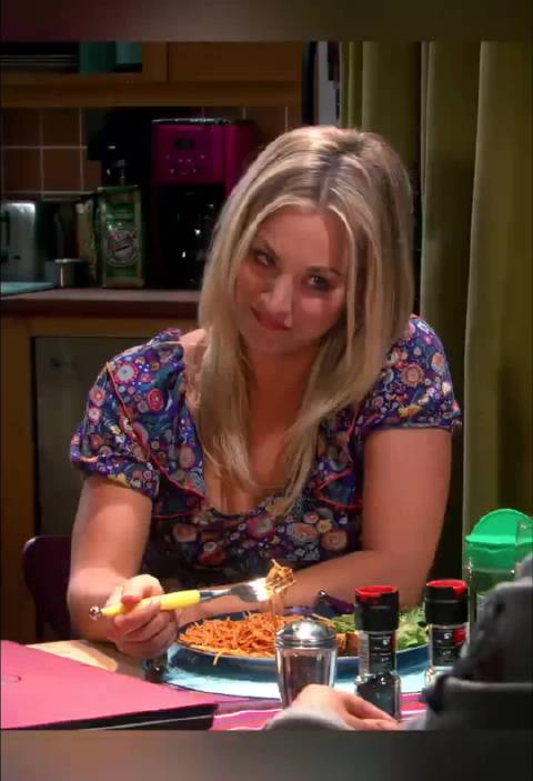 莱纳德：她写作煮饭一样烂｜生活大爆炸