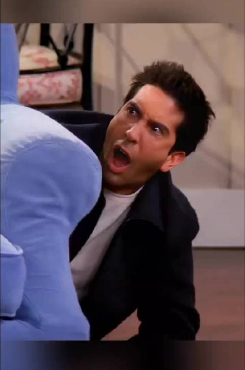 罗斯为了“淡鲑鱼色”潜伏蒙娜家