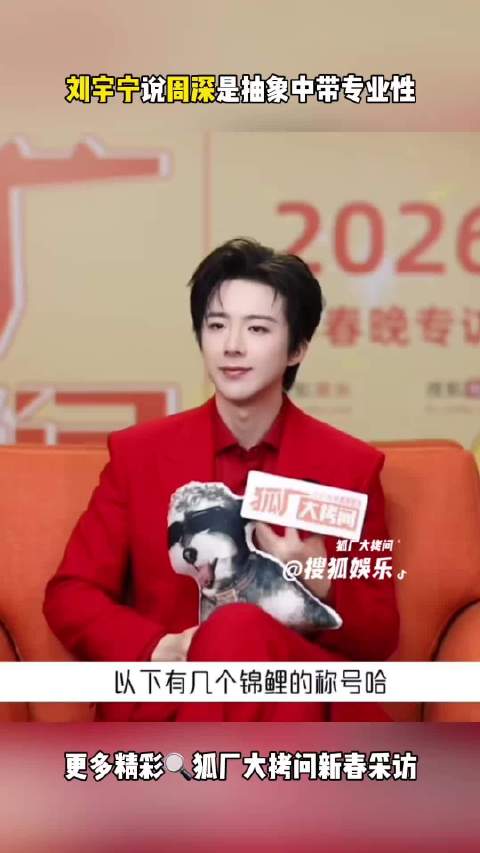 刘宇宁春节期间采访 很喜欢听他说话