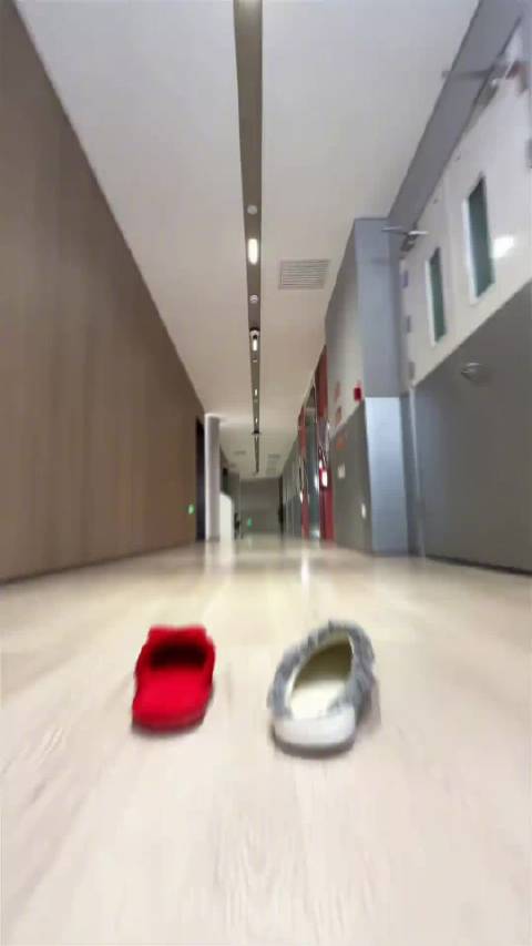 白鹿王星越穿睡衣拜年，抽象松弛感拉满