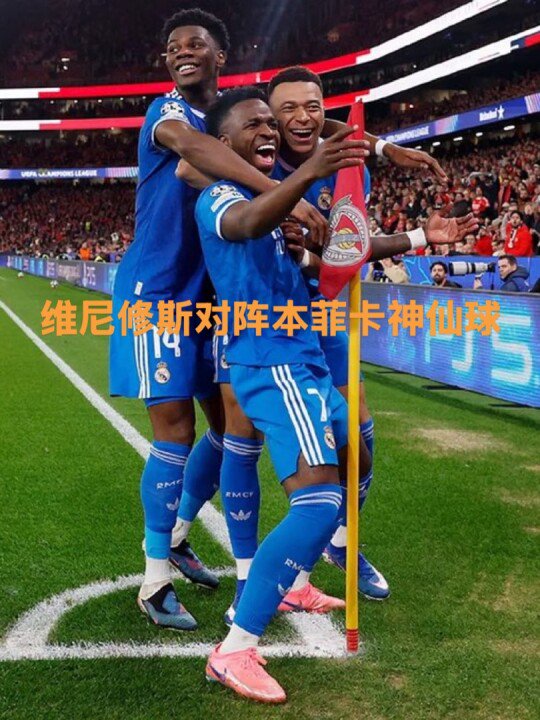 维尼修斯的神仙球