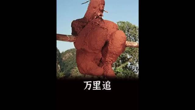 英国贵族遭盖世太保追捕，绝境求生演绎逃亡经典